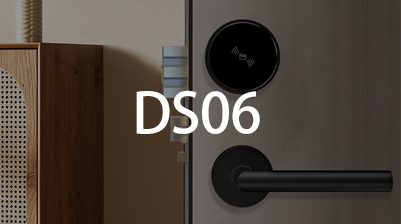 ����  DS06