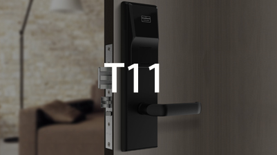 ����  T11