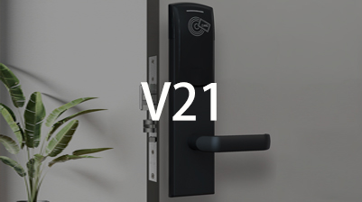 ����  V21