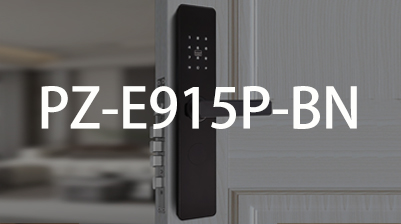 ����  PZ-E915P-BN